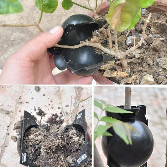 Reusable Plant Rooting Ball Set